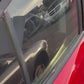Glass Breaker and Seatbelt Cutter Keyring